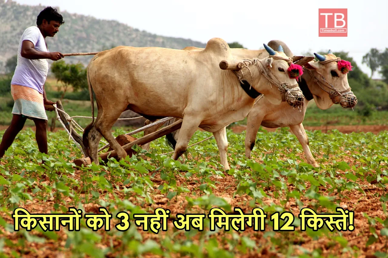 Budget 2024: बजट में निर्मला...
