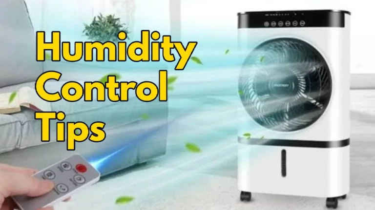 घर में हो रही काफी उमस? इन टिप्स के जरिए कूलर को चला दूर करें ह्यूमिडिटी, फिर देखें ठंडक का कमाल