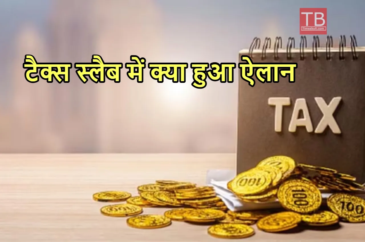 Income Tax News: बजट में...