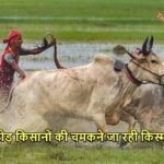 KISAN NEWS