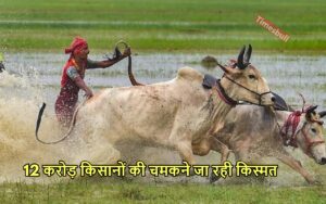 Featured image for: PMKSNY UPDATE: बजट किसानों के लिए बनेगा अंधे की लाठी, किस्त की राशि में होगी इतने हजार की बढ़ोतरी! in Business category