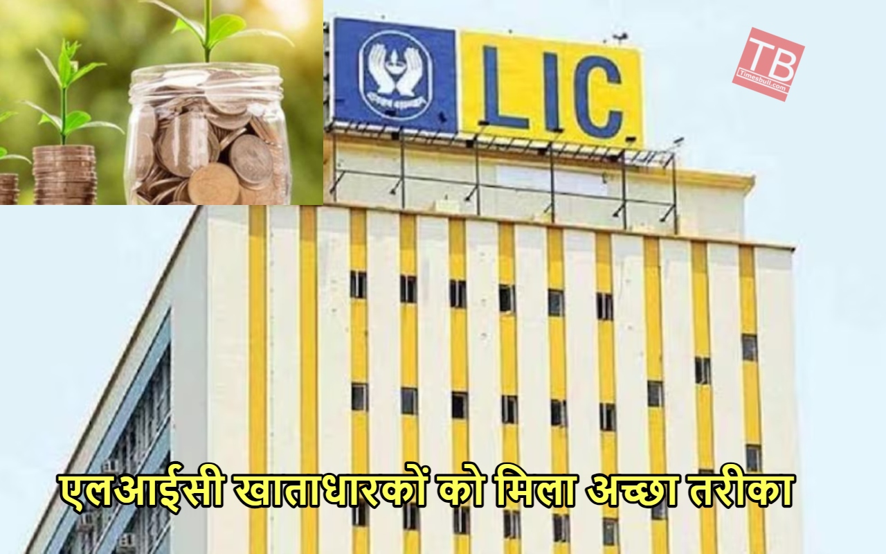 एलआईसी में कितना रह गया...