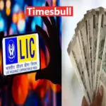 LIC SCHEME