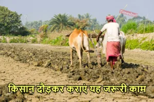 Featured image for: PMKSNY: इन किसानों पर टूटा दुखों का पहाड़, जानिए किस वजह से नहीं मिलेगी 2,000 रुपये की किस्त in Business category