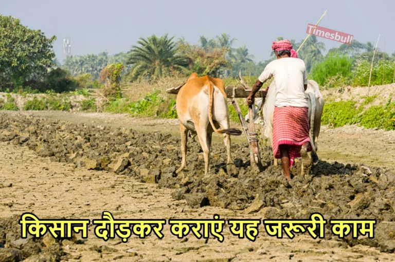 PMKSNY: इन किसानों पर टूटा दुखों का पहाड़, जानिए किस वजह से नहीं मिलेगी 2,000 रुपये की किस्त