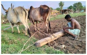 Featured image for: Farmer ID: No need for repeated KYC process! Government has taken a big step in Business category