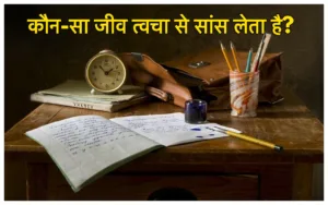 Featured image for: Trending GK Quiz : उल्लू अपने सिर को कितने डिग्री तक घुमा सकता है? यहां जानिए सही जवाब in Education category