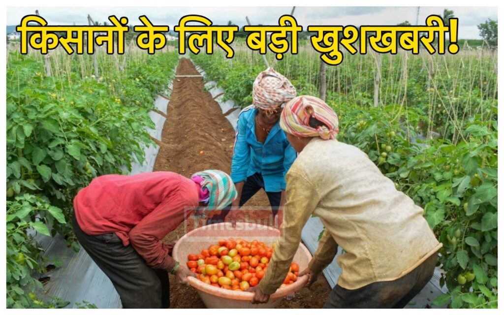 Budget 2024 Update: बजट में किसानों के लिए होगा बड़ा ऐलान? क्या खुल जाएगी 10 करोड़ फार्मर की किस्मत!