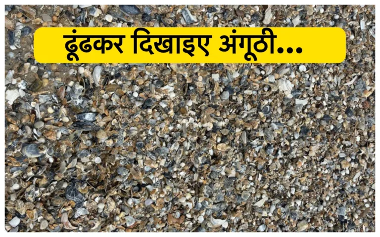 Optical illusion: खुद को तेज दिमाग वाला मानते हैं तो 5 मिनट में इस तस्वीर में ढूंढकर दिखाइए अंगूठी