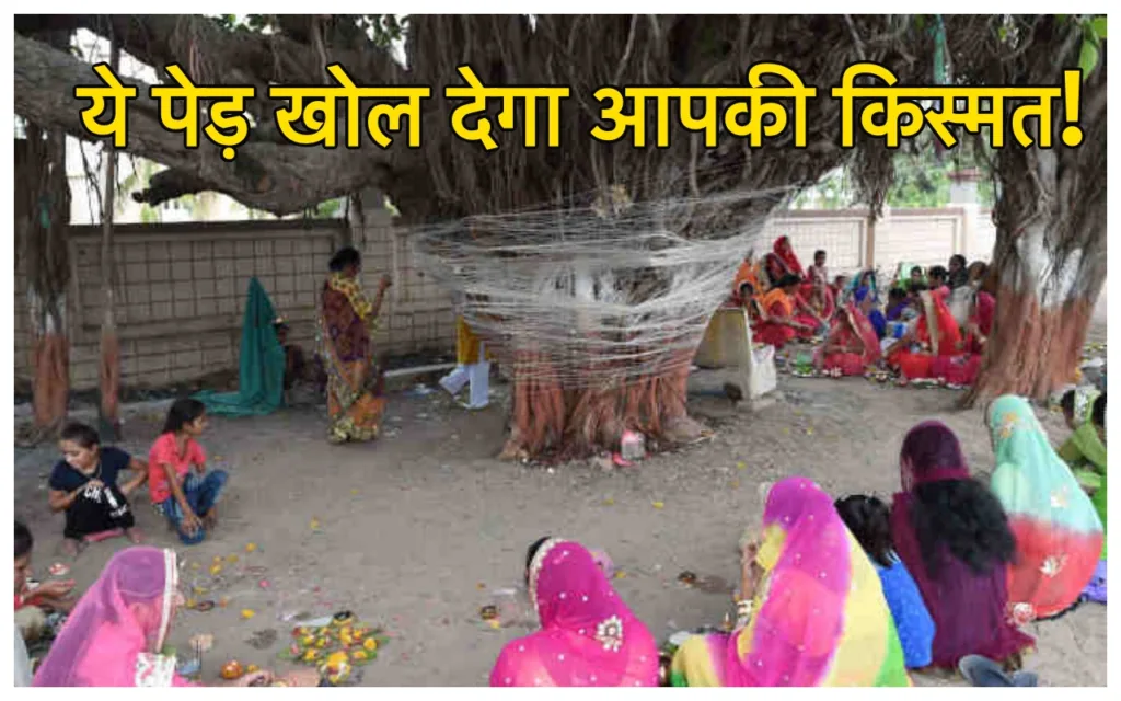 Sawan 2024: खूब होगी पैसों की बरसात, सावन के महीने में कर लें इस पेड़ की पूजा, भोलेनाथ की कृपा से बनी रहेगी तिजोरी!