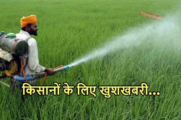 बाढ़ से बर्बाद फसलों का मिलेगा मुआवजा, 10 अगस्त तक किसान करा लें यह जरूरी काम