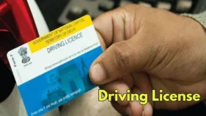 Featured image for: Indian Driving License: Rules, Regulations, and Application Process in Business category