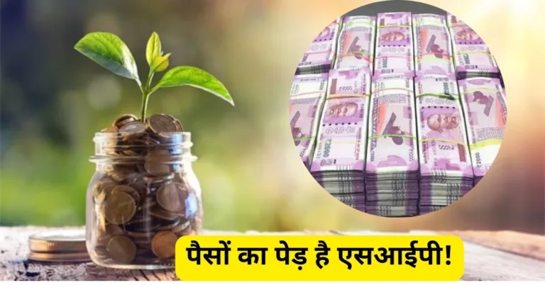 पैसों का पेड़ है एसआईपी! आप की 170 रुपए की सेविंग आदत बना देगी करोड़पति, जानिए कैसे