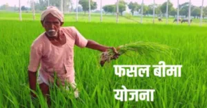 Featured image for: Farmer News: इस राज्य के किसान 16 अगस्त तक करा सकते हैं PM Fasal Beema आवेदन, जानें जरुरी दस्तावेज in Business category