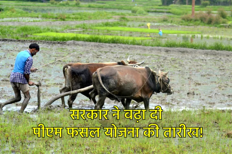 सरकार ने बढ़ा दी पीएम फसल बीमा योजना की आखिरी तारीख, जानें कब तक कर पाएंगे आवेदन
