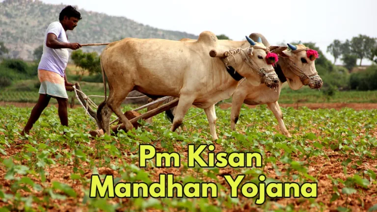 PM Kisan Mandhan Yojana: Secure Your Future with Rs 3000 Monthly Pension
