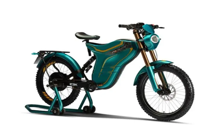 Long Range Electric Cycle: Polarity Smart Executive Review