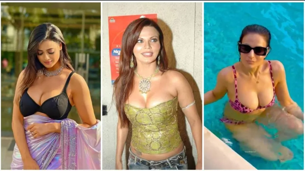 दया बेन से लेकर अमीषा पटेल तक कर चुकी हैं बी ग्रेड मूवीज में काम… नाम सुनकर रह जाएंगें हैरान!