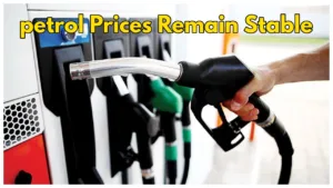 Featured image for: Petrol Diesel Price Today: No Change in Fuel Prices Across India, Check City - Wise Rate in Business category