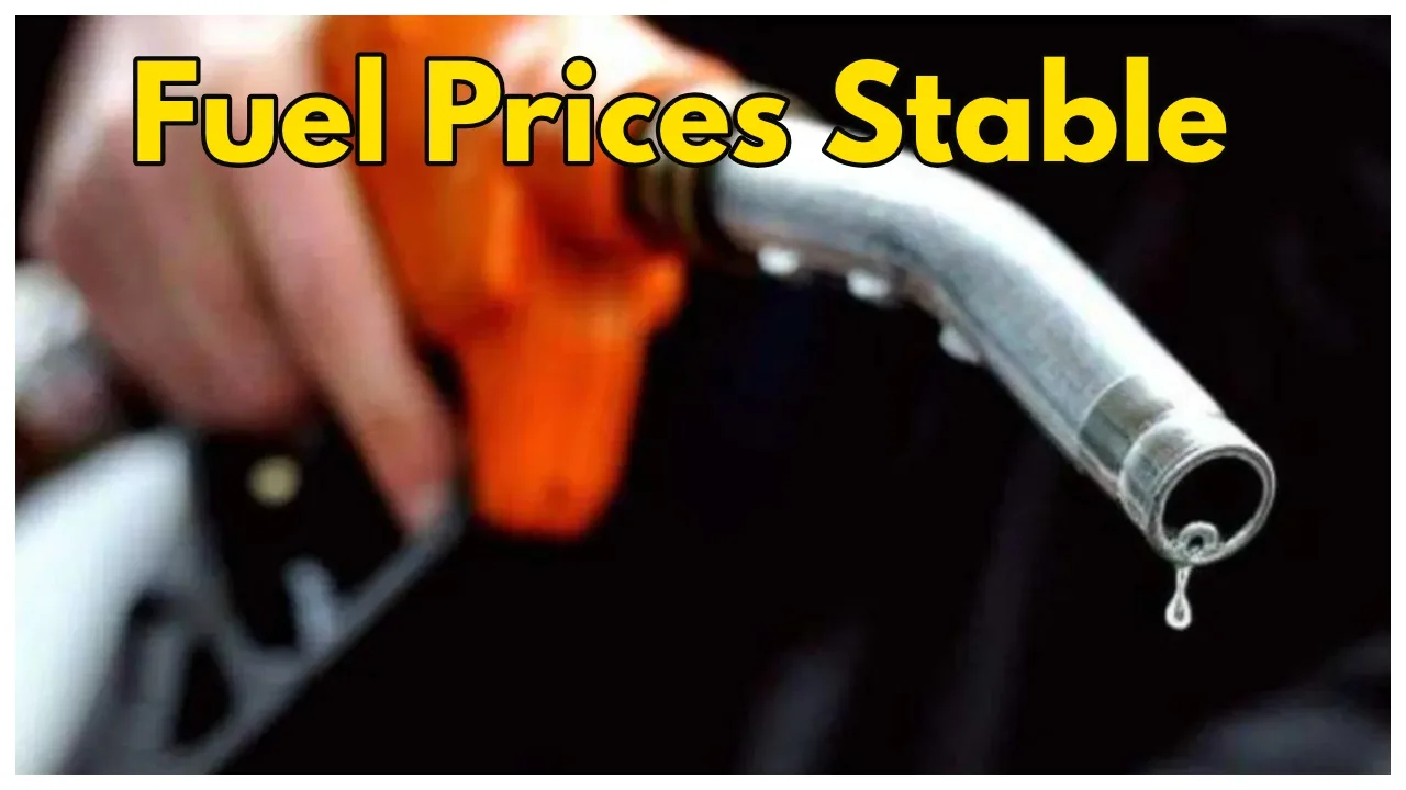 Petrol, Diesel Rates Unchanged: