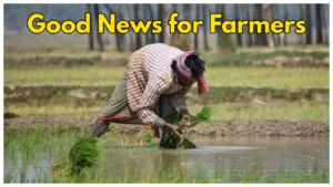 Featured image for: PM Kisan 18th Installment To Be Released on THIS Date! Kisan Se Baat: New Radio Program for Farmers in Business category