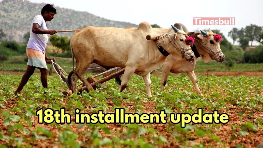 On October 5, release the Rs 2000 installment of PM Kisan Yojana! Know the major updates. 