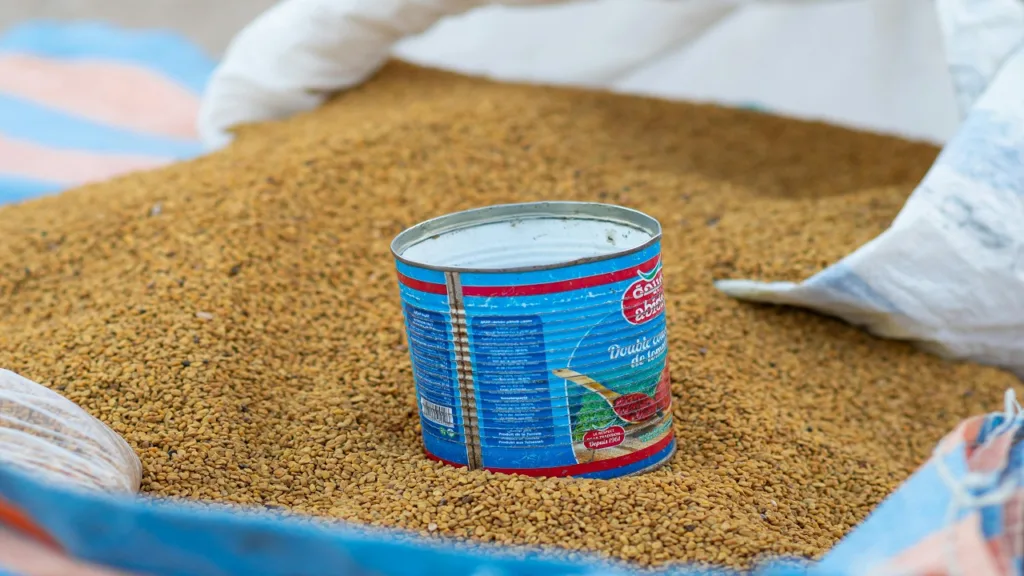 Fenugreek: For diabetes and lactatio