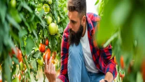 Featured image for: Is Organic Food Worth It? A Look at Its Real Health Benefit in Health category