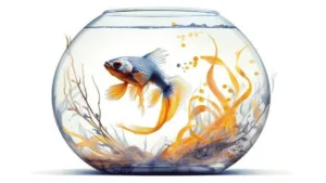 Featured image for: Mukhyamantri Talab Matsyaiki Vikas Yojana 70% subsidy for fish farming, apply online like this in Business category