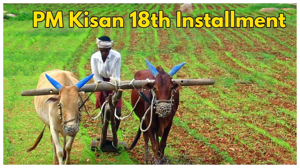 PM Kisan-When Will the 18th Installment released? Check Latest Update