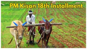 Featured image for: PM Kisan-When Will the 18th Installment released? Check Latest Update in Business category
