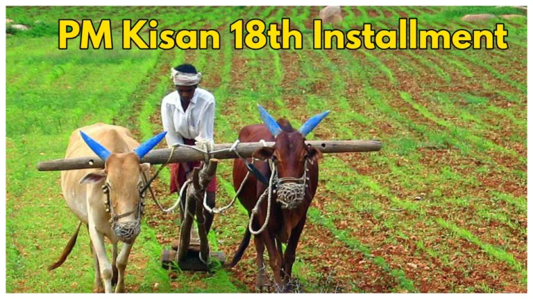 PM Kisan-When Will the 18th Installment released? Check Latest Update