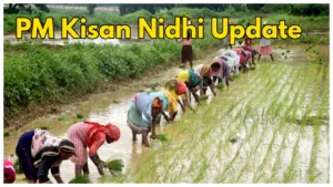 Featured image for: PM Kisan Nidhi Update- Why Some Farmers May Miss the 18th Installment, Check complete details here in Business category