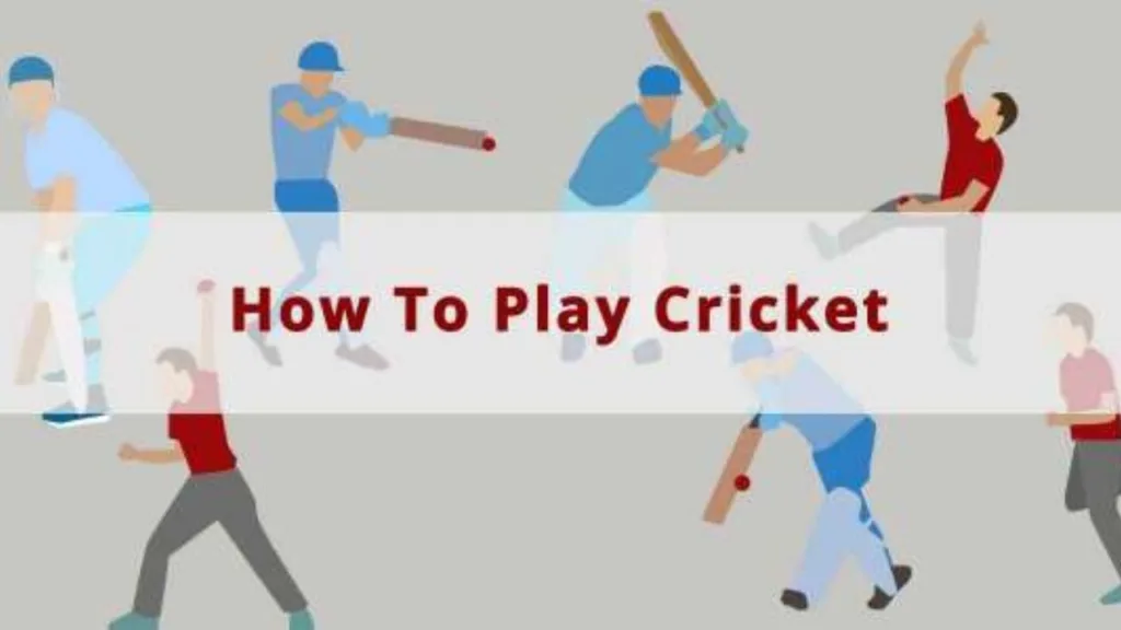 How to Play Cricket – Starts Now And Know The Things Before Starts
