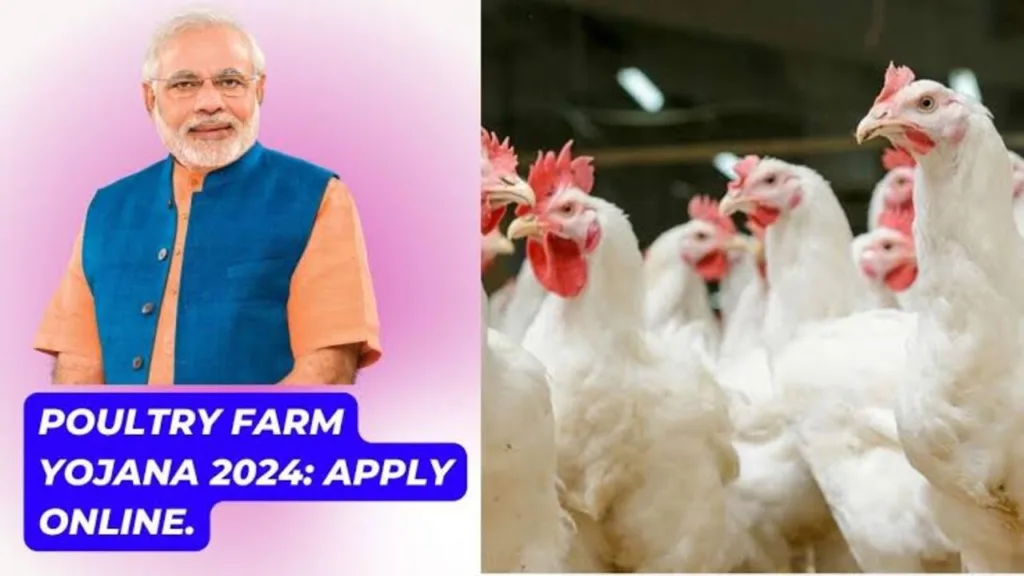 Poultry Farm Loan Subsidy Scheme 2024: Start Your Business with Government Support