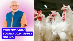 Featured image for: Poultry Farm Loan Subsidy Scheme 2024: Start Your Business with Government Support in Business category