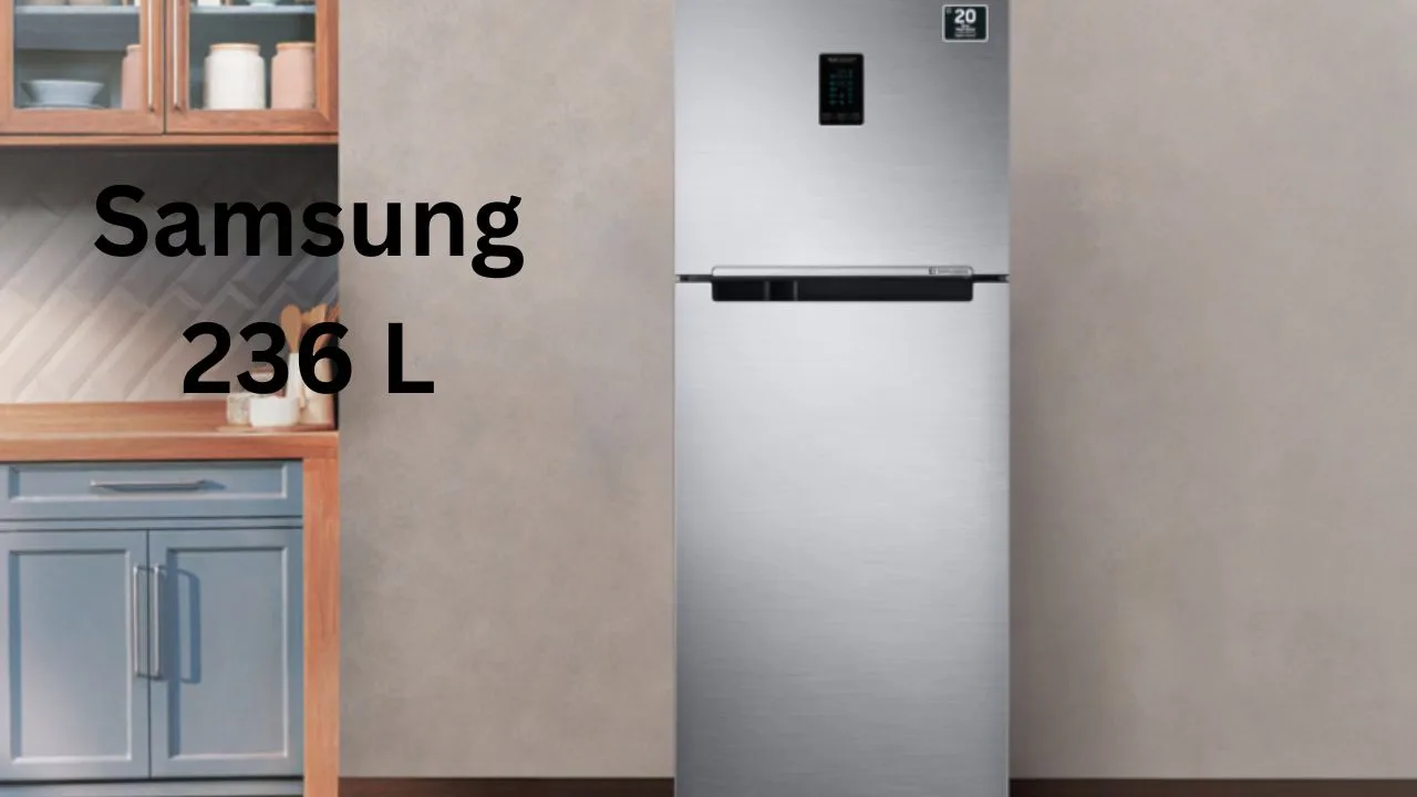 Samsung 236 L with