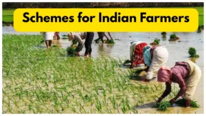 Featured image for: Government Schemes for Farmers- Get Details Kisan Credit Card, PM Kisan & Kusum Yojana in Business category