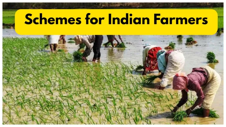 Government Schemes for Farmers- Get Details Kisan Credit Card, PM Kisan & Kusum Yojana
