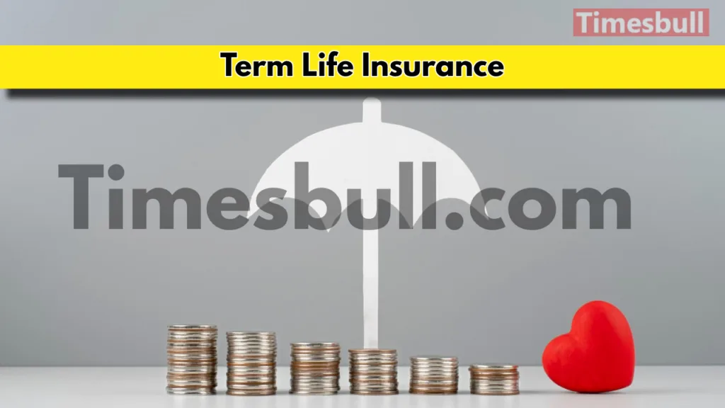 Term Life Insurance: A Comprehensive Guide to Understanding Coverage and Exclusions