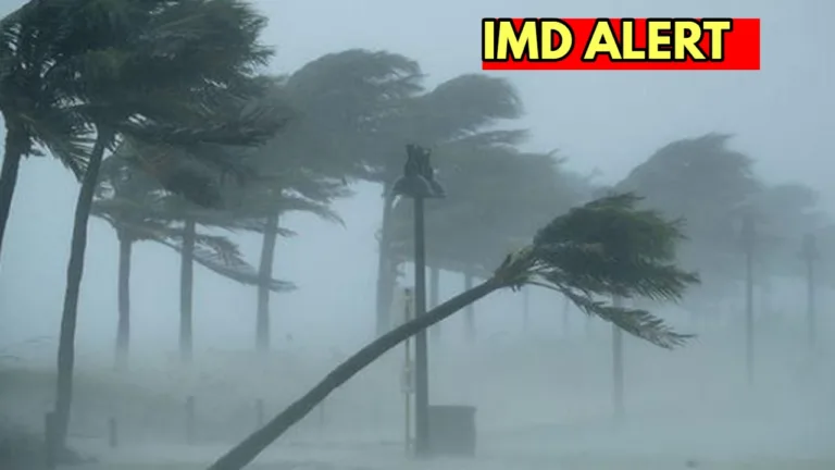 Monsoon Update: There will be heavy rain in 16 states the next 24 hours, IMD alert