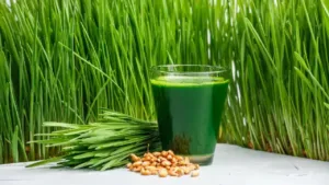 Featured image for: Wheatgrass Debate: Superfood Benefits or Short-Lived Health Hype?" in Recipes category