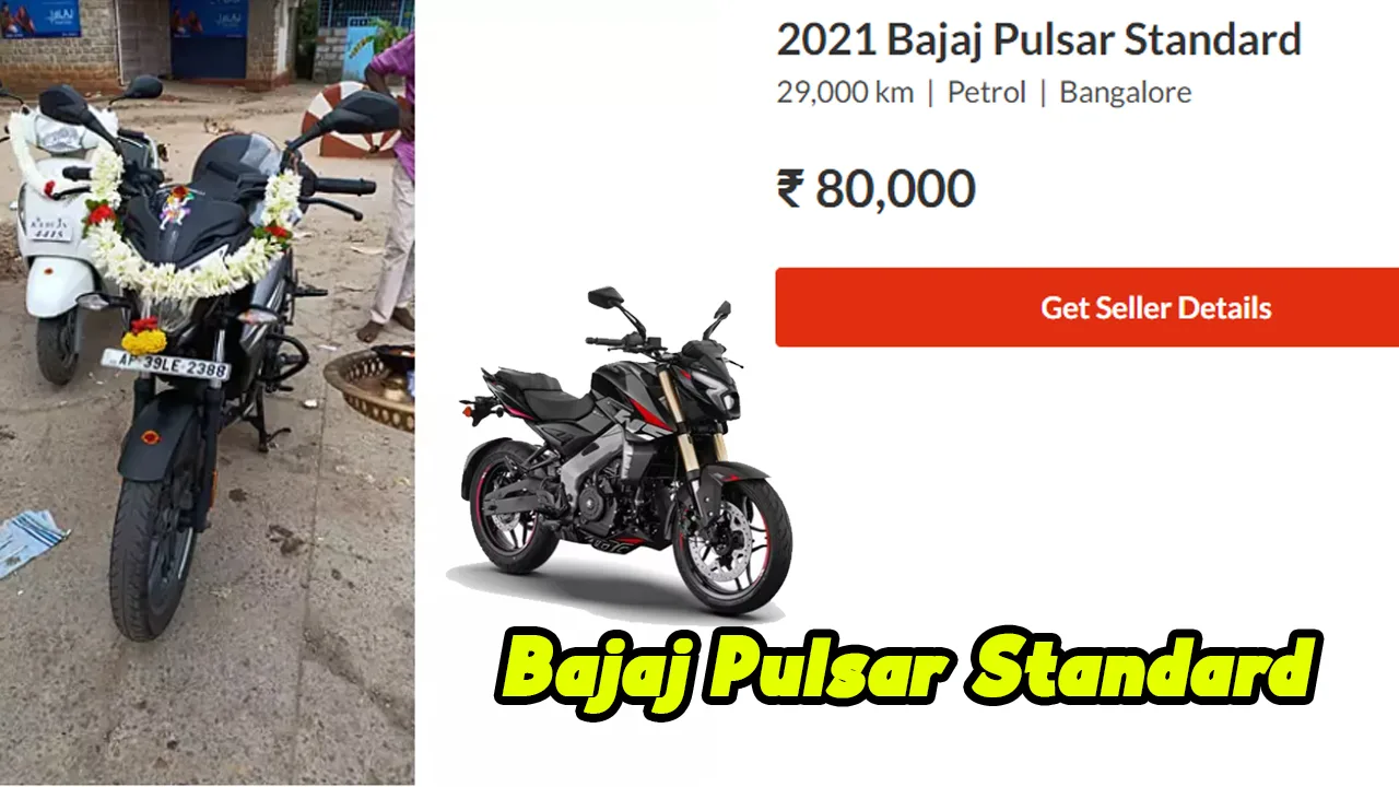 Bajaj Pulsar Standard: Affordable