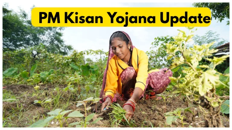 PM Kisan Yojana- Rs 2000 likely to be released before Diwali! Check e-KYC & Status