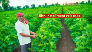 Featured image for: PM Kisan Yojana: Government released 18th installment of Rs 2,000, check on direct link in Business category