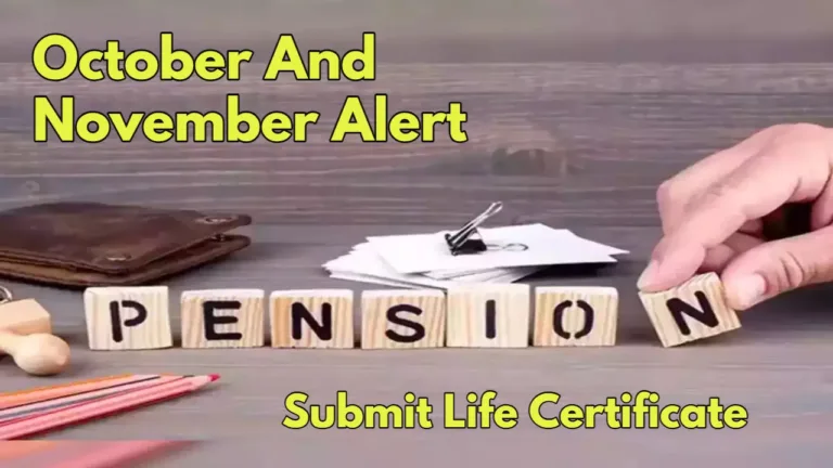Avoid Pension Stoppage: Submit Life Certificate Online or Offline by November End
