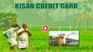 Featured image for: Watch Video: Kisan credit card will fulfill farmer’s wish, know everything about it in Business category