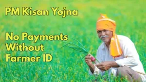 Featured image for: PM Kisan Yojana: No Benefits Without Farmer ID from December, Register Before November 30 in Business category