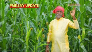 Featured image for: If you have not received the installment of Rs 2,000 even after 6 days, then know the reason? in Business category