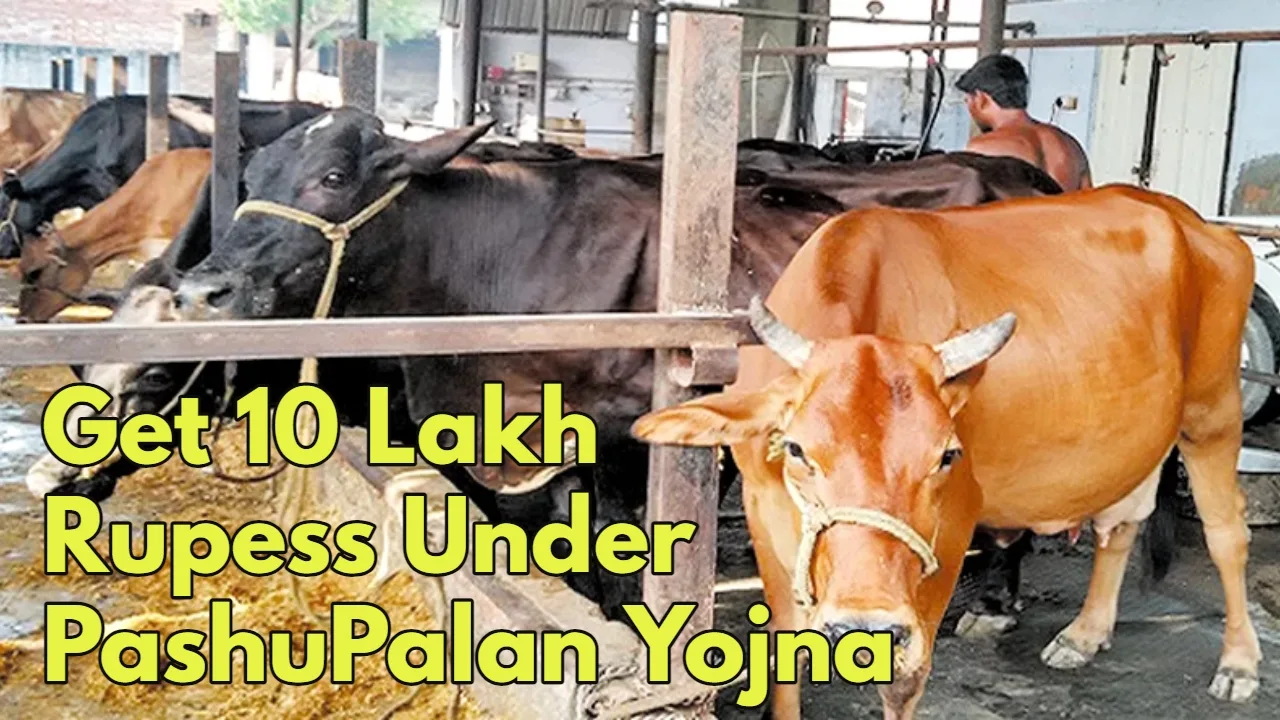 Pashupalan Yojana: Key to